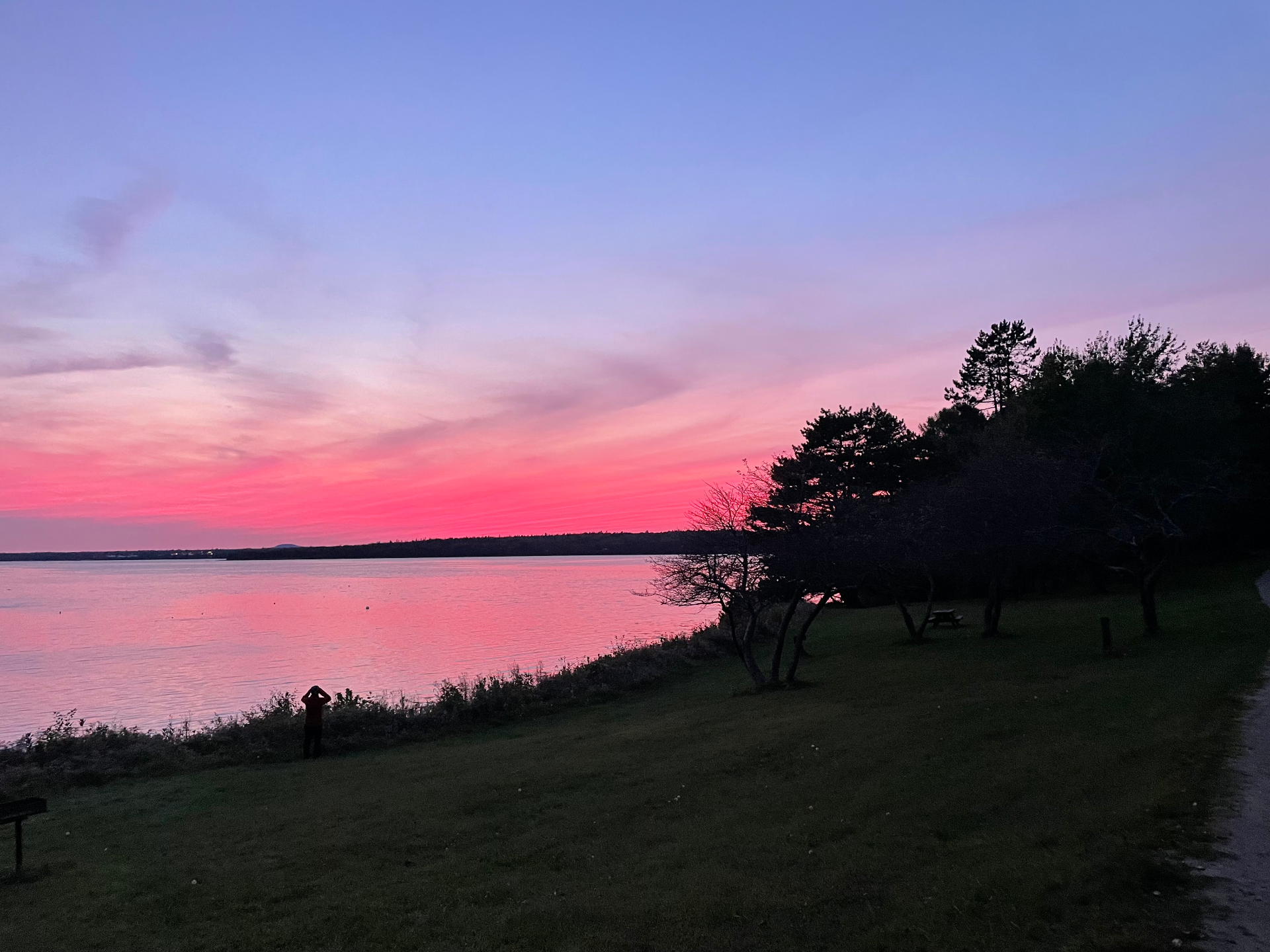 Sunset over the water with a silhouette of trees and a figure on the shore
